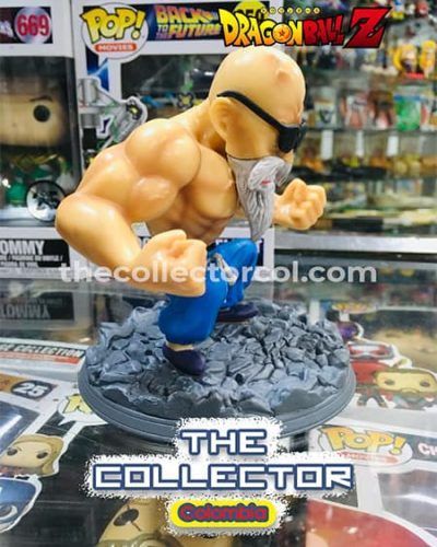 figura de maestro roshi colombia