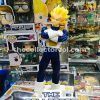 figura de vegeta colombia