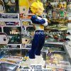 figura de vegeta colombia