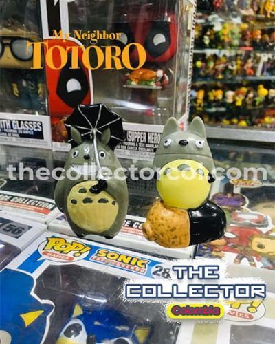 figuras de totoro colombia